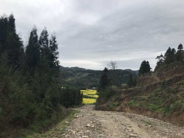 塘约经验和中国道路——塘约启示八题