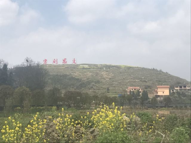 塘约经验和中国道路——塘约启示八题