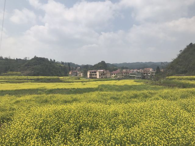 塘约经验和中国道路——塘约启示八题