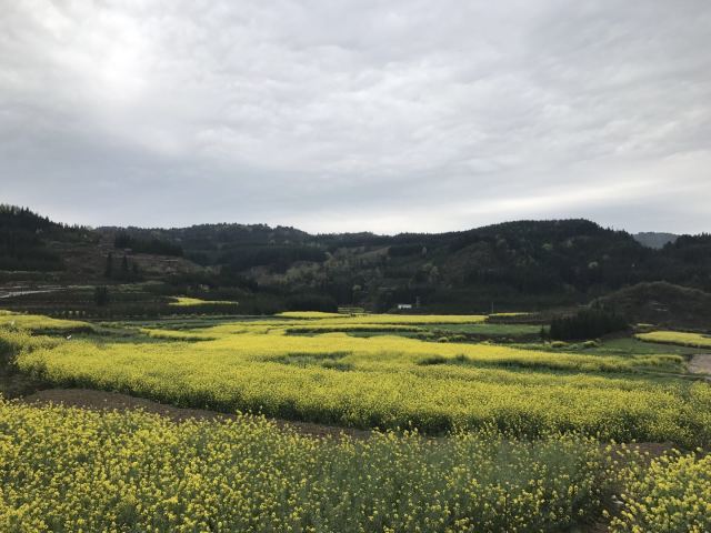 塘约经验和中国道路——塘约启示八题