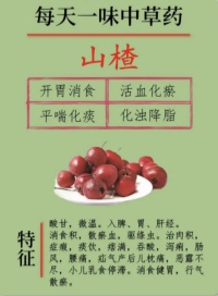 1772548886624083239.jpg 山楂3_副本.jpg